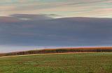 Cloud Bank Over A Cornfield_08877-8